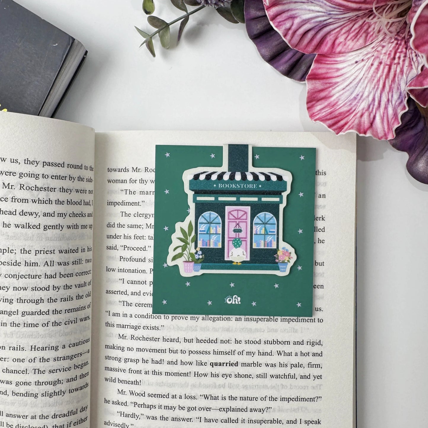 Duck's Little Bookshop magnetic bookmark shown open to reveal the green star-patterned reverse